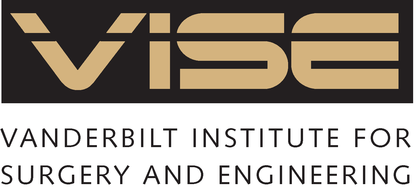 VISE Logo